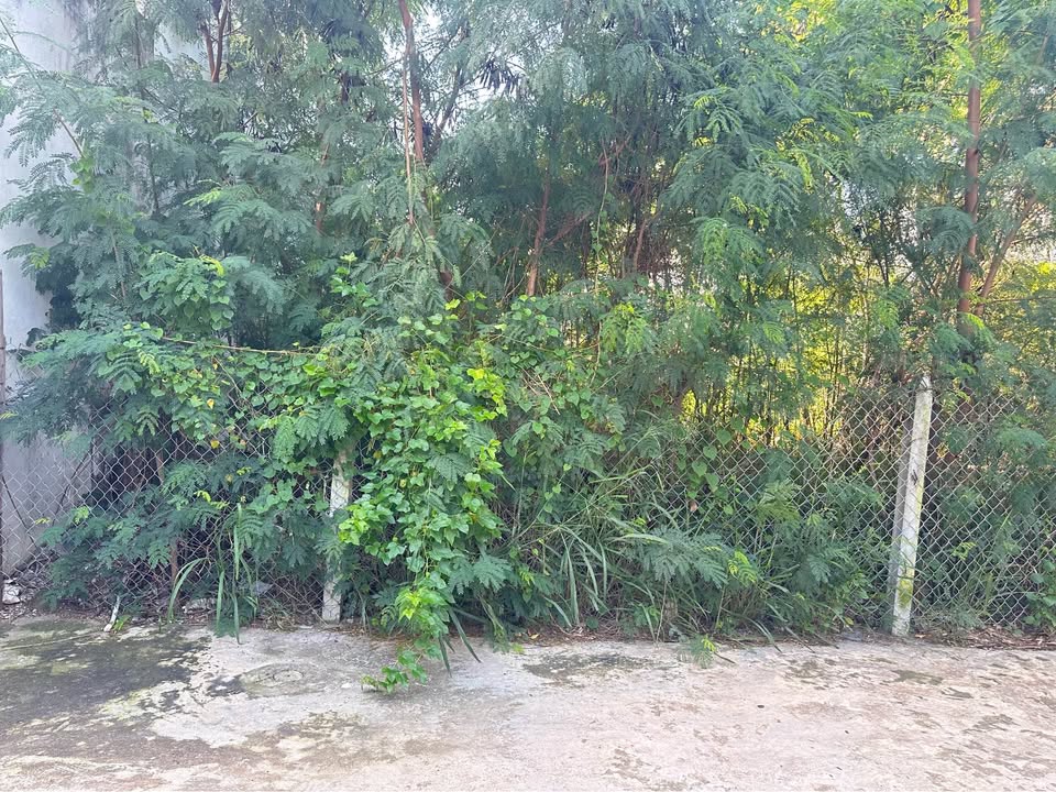 Đất nền Nha Trang 217m² giá 17.3 tỷ - Gần biển chỉ 50m!