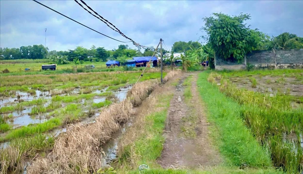 Đất nền Tân Phú Trung - Củ Chi 19.000m² giá 25.65 tỷ - Pháp lý rõ ràng, sẵn sàng phát triển!