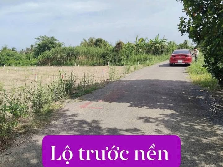 Đất nền chính chủ tại xã Mỹ Thuận, Bình Tân - Diện tích 310m² chỉ 1.479 tỷ!