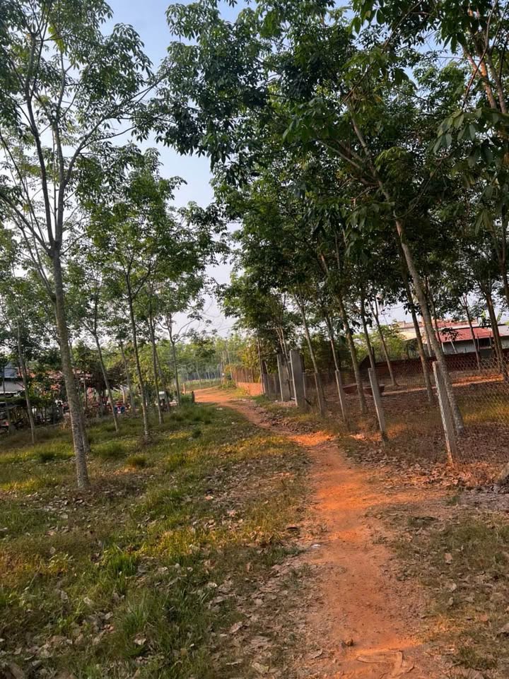 Đất nền 1029m² Tân Biên Tây Ninh giá 450 triệu - Khu dân cư đông đúc!