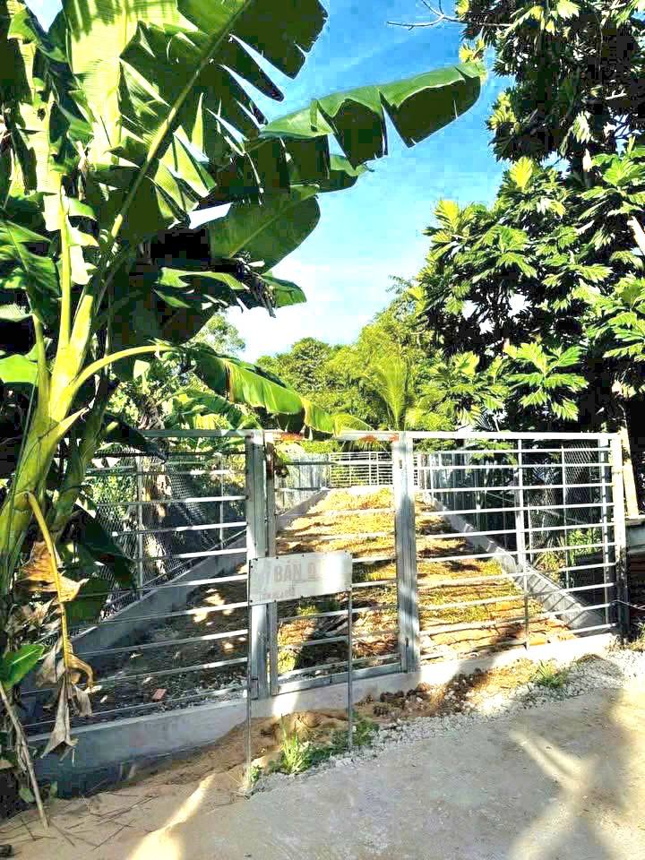 Đất nền Long Tuyền Cần Thơ 191m² chỉ 2.3 tỷ - Vị trí đẹp, tiềm năng sinh lời!