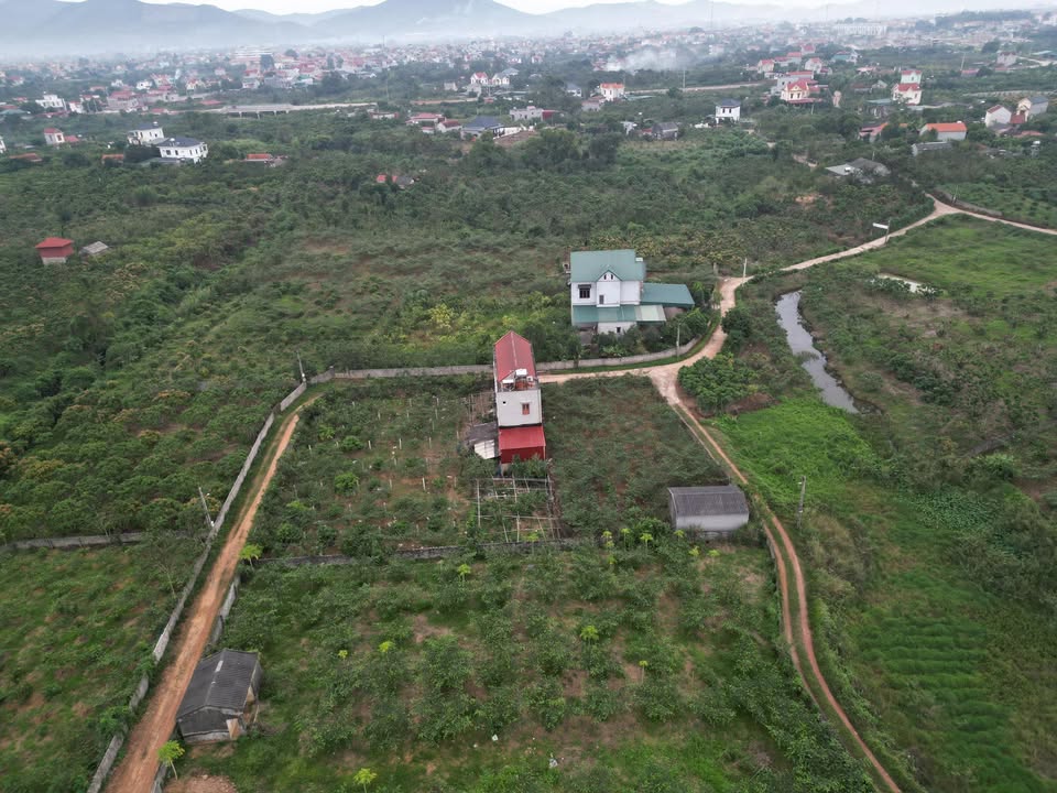 Đất nền phường Chũ Lục Ngạn 300m² giá 1.38 tỷ - Sổ đỏ chính chủ!