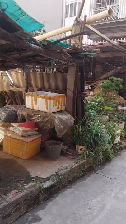 Đất nền Thụy Phương 35m² giá thỏa thuận - Sổ vuông vức, vị trí tiềm năng!