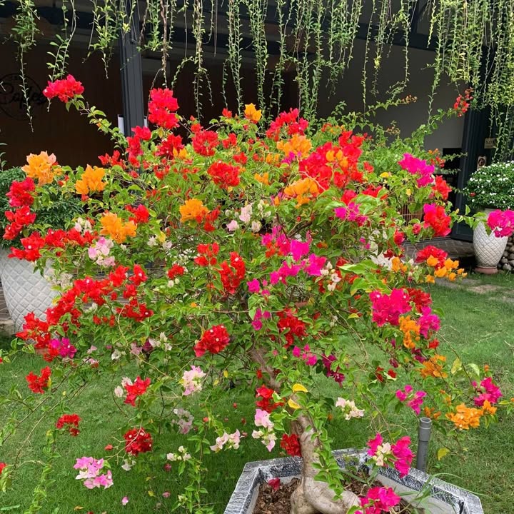 Đất nền 2 mặt tiền Sông Thao Bàu Hàm 500m² giá 1.8 tỷ - Cơ hội đầu tư tuyệt vời!