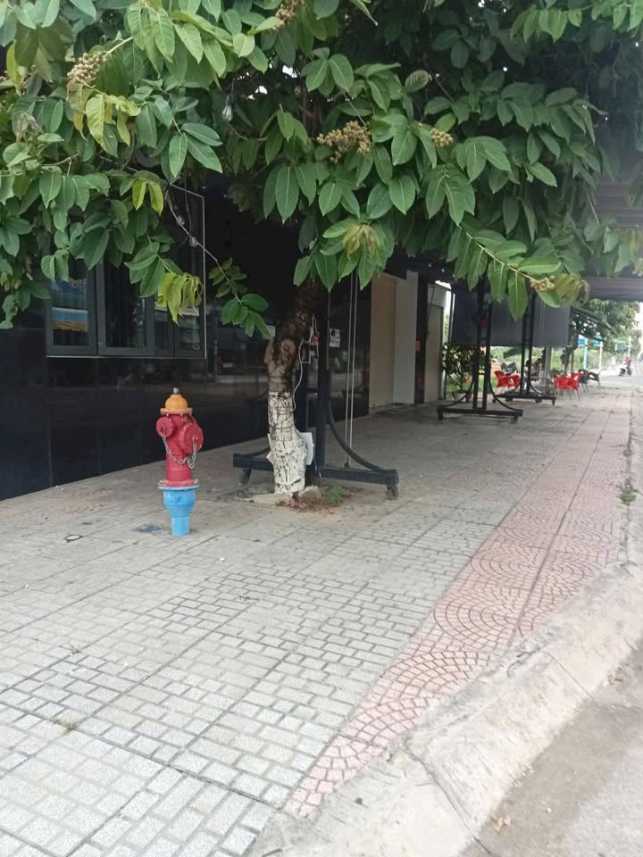 Nhà mặt tiền đường 30.4, Trảng Bom - Giá thuê chỉ 6 triệu/tháng!