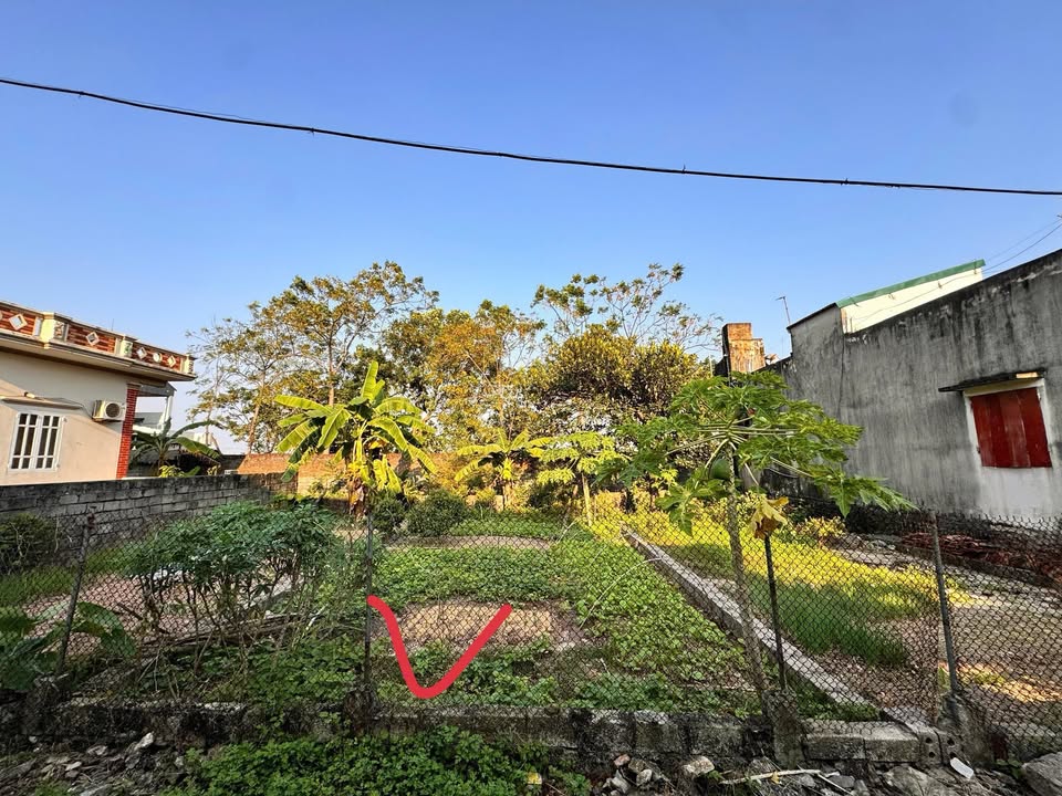 Đất thổ cư 54,4m² tại xã Tuy Lai, huyện Mỹ Đức - Gần trường học và chợ!