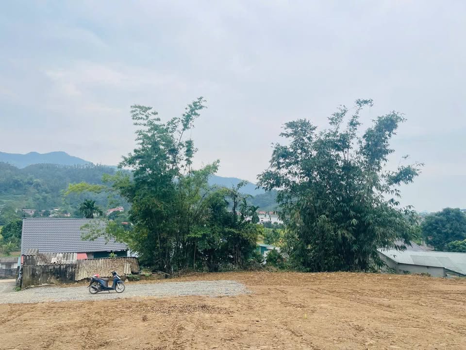 Đất nghỉ dưỡng 1500m² tại Liên Sơn, Lương Sơn - Giá chỉ 2.x triệu/m², cơ hội đầu tư tuyệt vời!