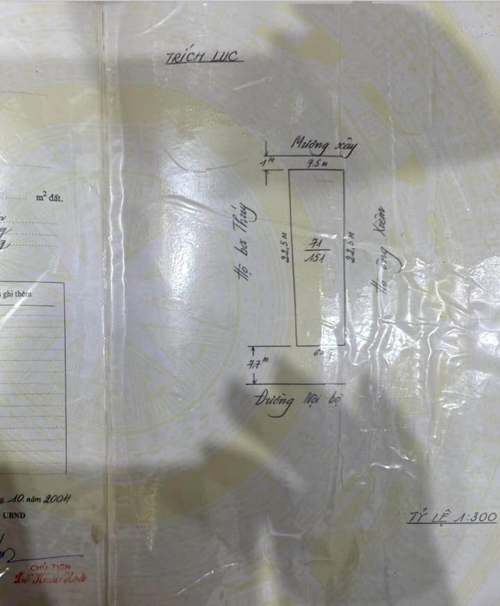 Lô đất 151m² khu phố Lương Quán, Nam Sơn, An Dương - Cơ hội đầu tư tuyệt vời!