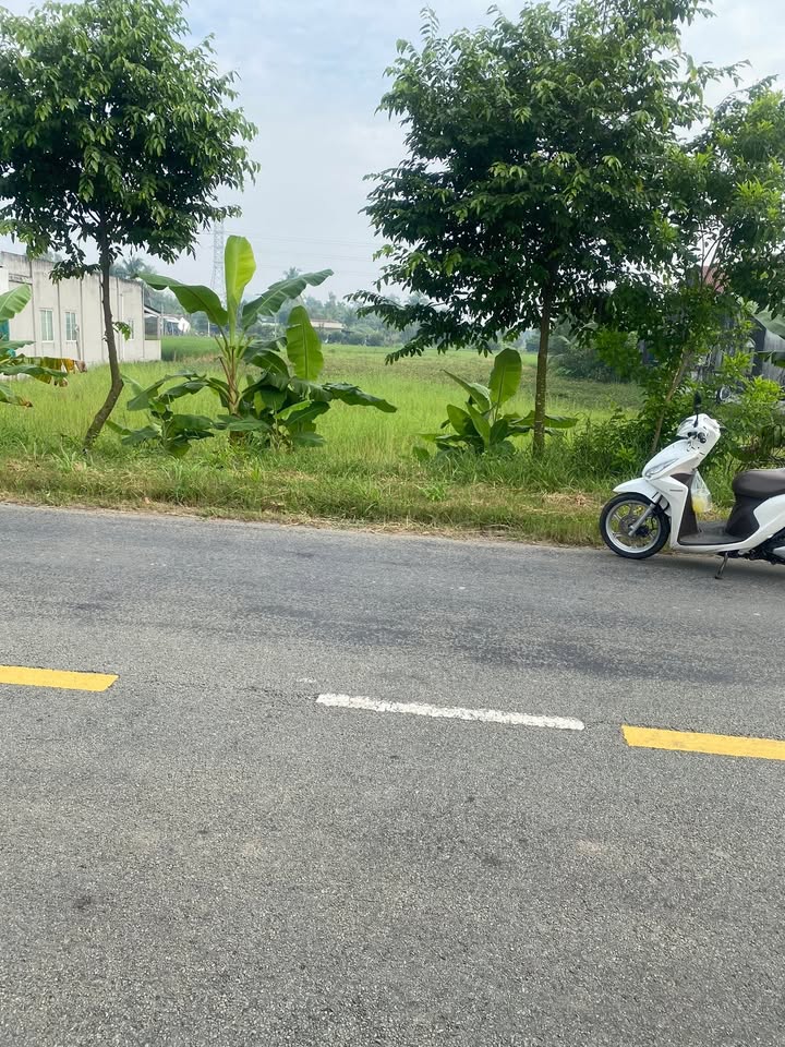 Đất nền 2667m² tại Ấp Bình Đông, Tân Trụ, Long An - Giá chỉ 6 tỷ, thương lượng!