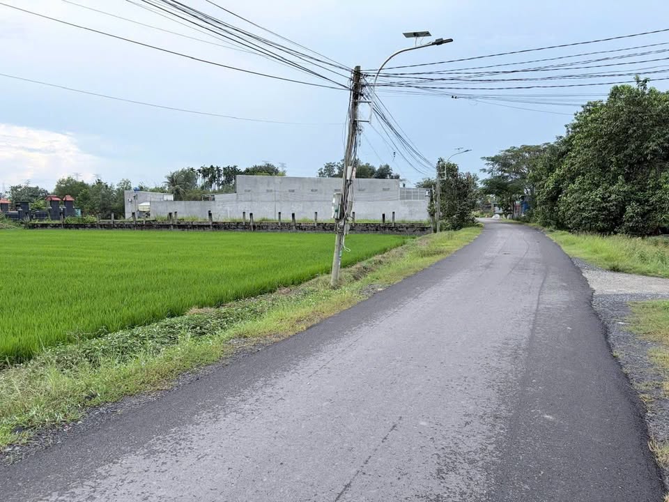 Đất ODT 175m² Nhựa Tulip, Đức Hòa - Giá đầu tư chỉ 1.85 tỷ!