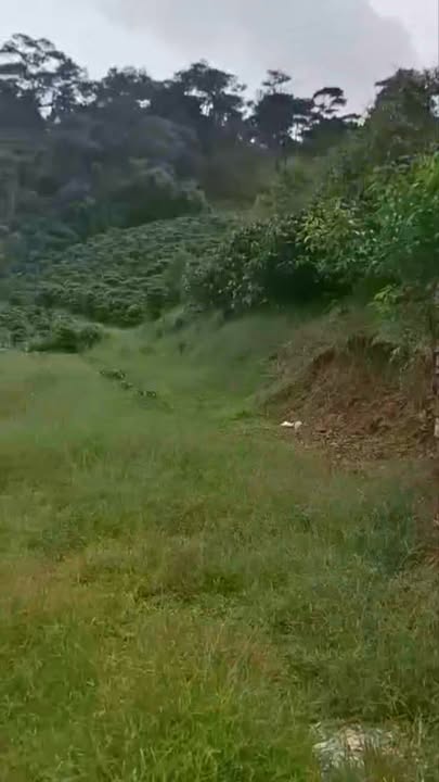 Đất nền Tà Năng, Đức Trọng 13.000m² giá 1.5 tỷ - Đầu tư sinh lời ngay!