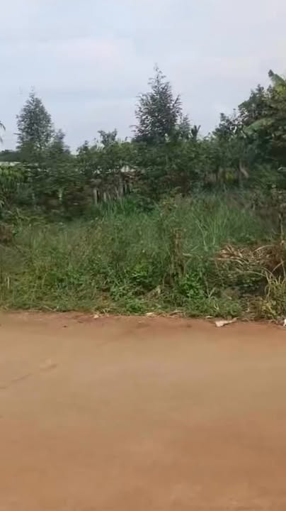 Nhà cấp 4 Ngãi Giao, Châu Đức 300m² chỉ 1.22 tỷ - An cư lý tưởng!