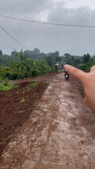 Đất nền Trục 6, Krông Nô 210m² giá chỉ 999 triệu - Đầu tư sinh lời ngay!