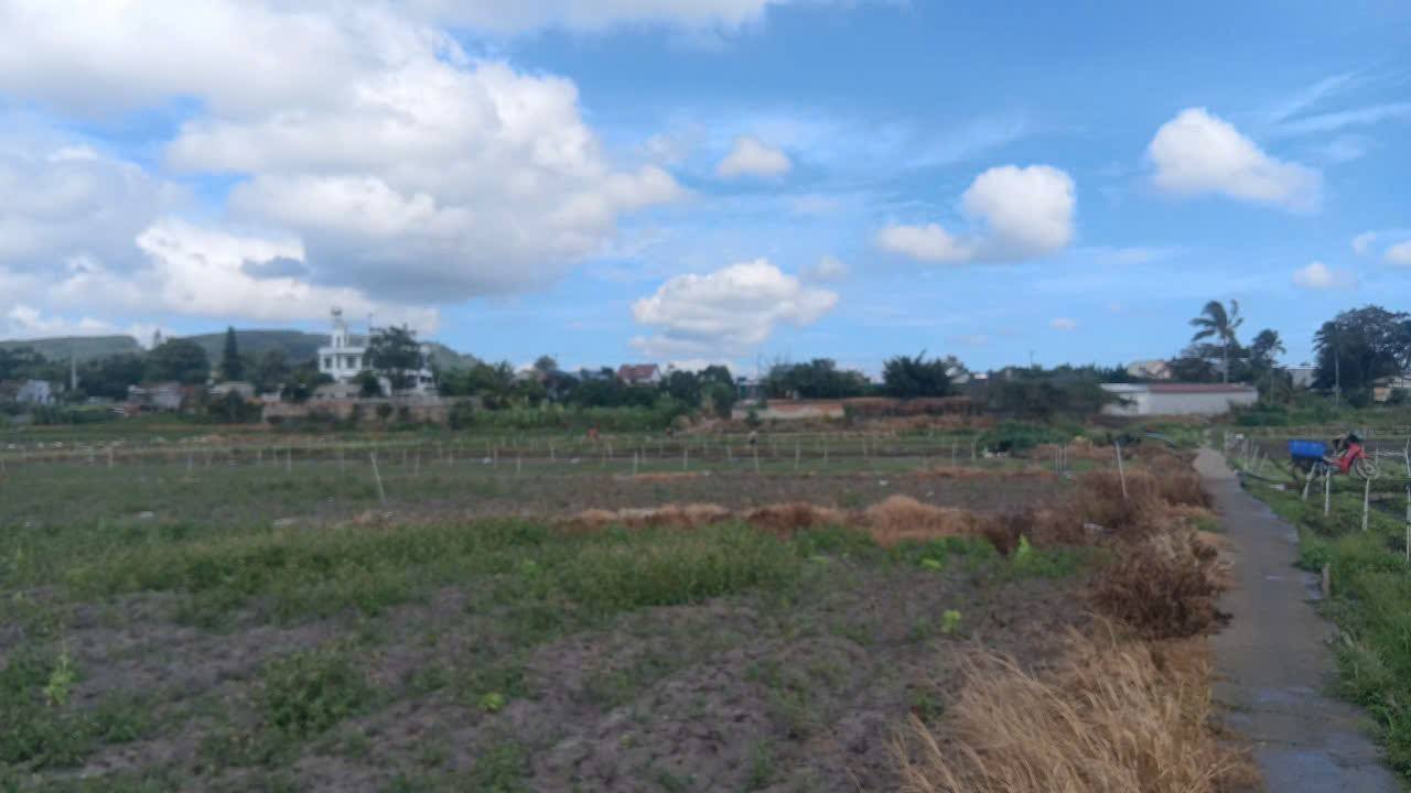 Đất nông nghiệp 18.000m² Phú Hội, Đức Trọng giá 1.9 tỷ - Đầu tư tiềm năng!