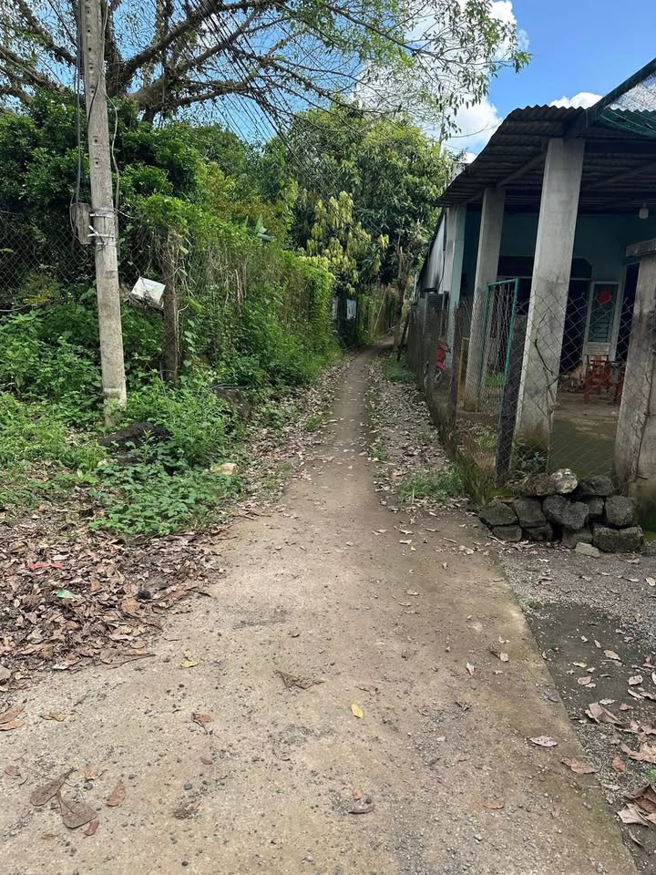 Đất thổ cư 90m² tại xã Phú Thịnh, giá chỉ 450 triệu - Đầu tư sinh lời ngay!