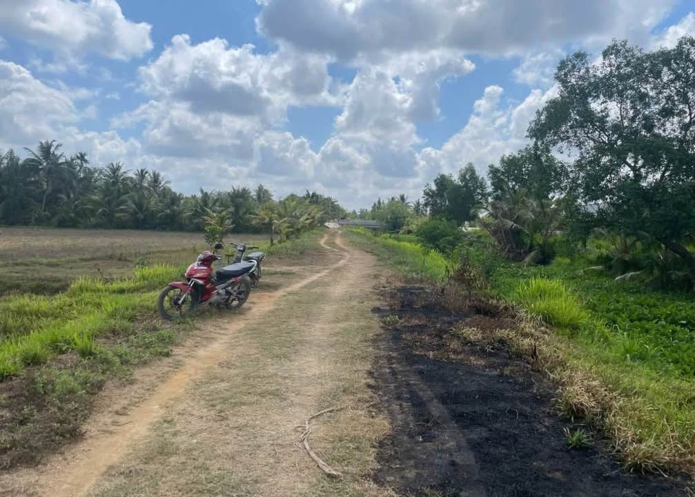 Đất nền mặt tiền bờ kênh Vành Đai 3, Trà Vinh 110m² - Đầu tư sinh lời nhanh!