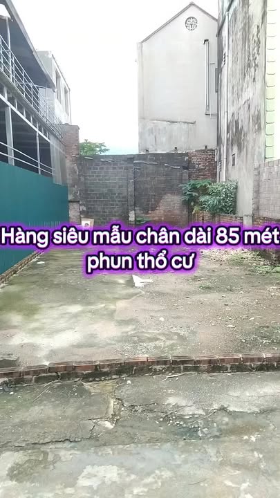 Đất thổ cư 85m² xóm Đông, xã Đông Sơn, giá 3 tỷ - Cơ hội đầu tư hấp dẫn!