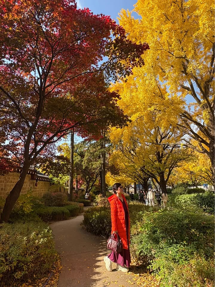 Nhà phố Trần Cao Vân Đà Nẵng 65m² giá 5.1 tỷ - Sẵn sàng ở ngay!