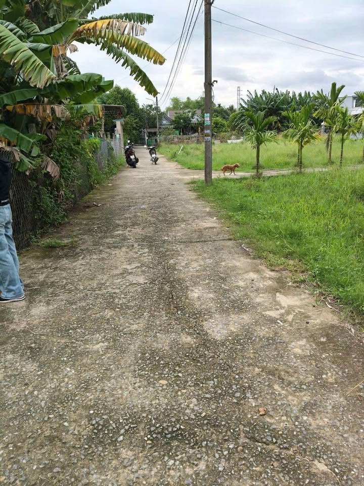 Đất nền Thôn Phú Sơn 3 Hòa Khương 125m² giá 1.15 tỷ - Đầu tư sinh lời ngay!