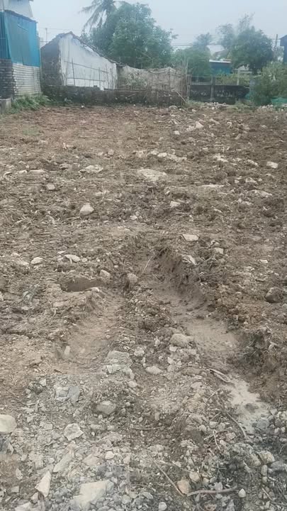 Đất đẹp Quỳnh Lâm, Quỳnh Lưu 212m² giá thỏa thuận - Hướng Đông view đồng