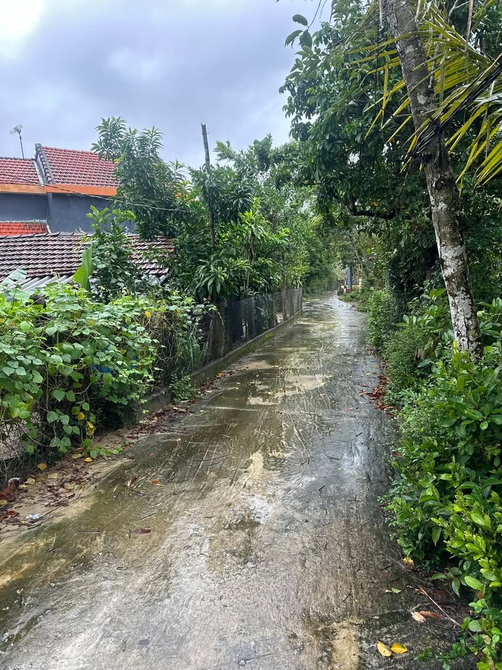 Lô đất Tam Thăng 181m² giá 400 triệu - Đầu tư sinh lời ngay!