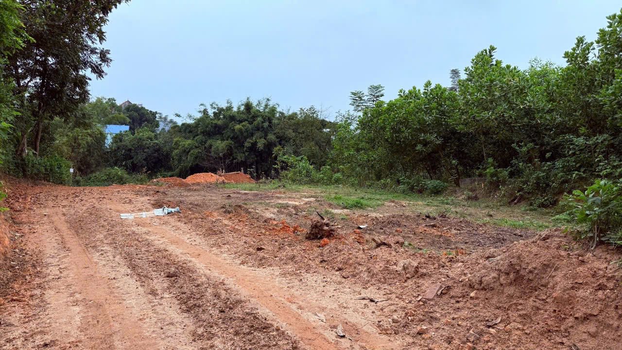 Đất nền Tân Lập Thái Nguyên 160m² giá 1.6 tỷ - Ngay trường học, tiện ích đầy đủ!