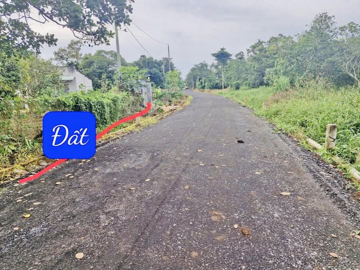 Đất nền Quảng Thành, Châu Đức 125m² giá 355 triệu - Đầu tư sinh lời ngay!