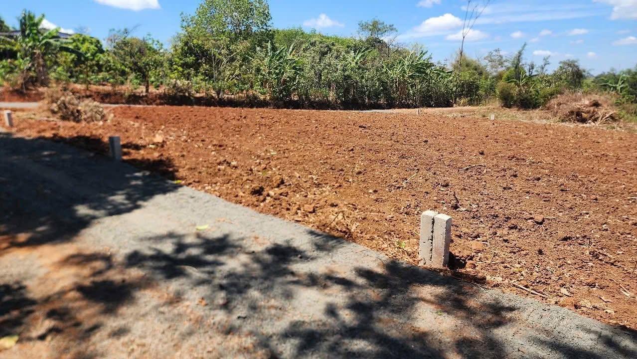 Đất nền Cư M'gar 125m² giá 195 triệu - Cơ hội đầu tư hấp dẫn!