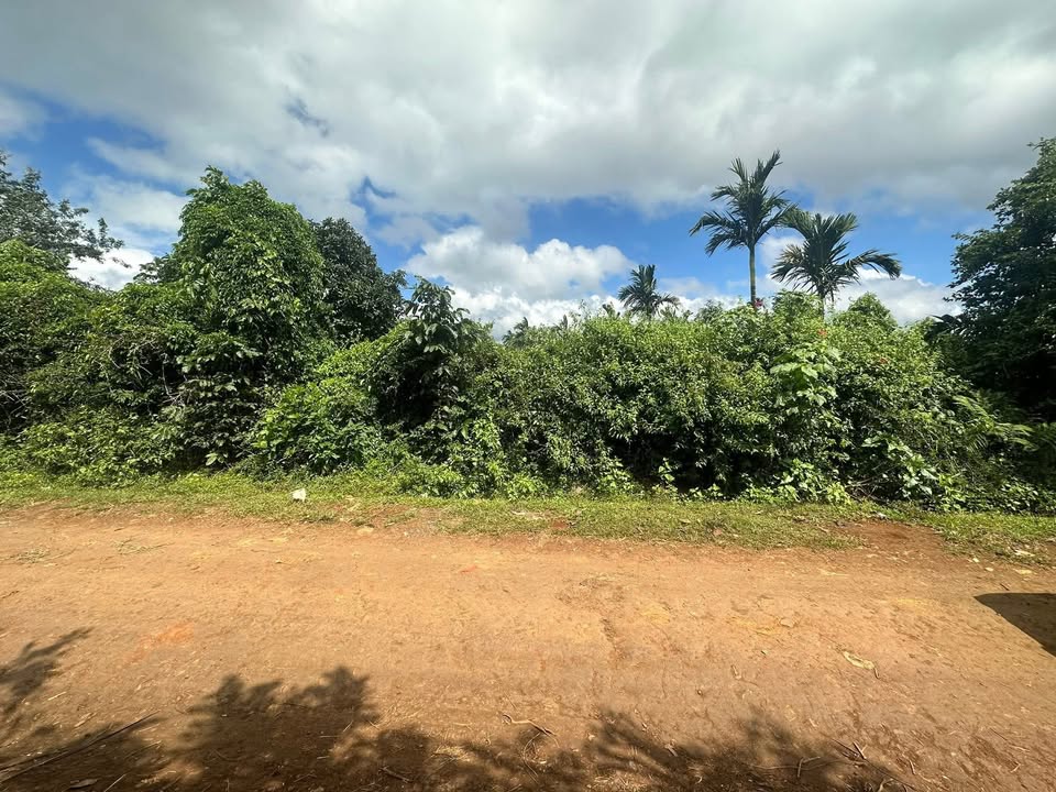 Đất nền Cư Bao, Buôn Hồ 150m² giá chỉ 345 triệu - Đầu tư sinh lời hấp dẫn!