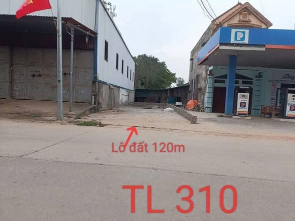 Đất nền Đạo Tú Tam Dương 120m² giá siêu hấp dẫn - Đầu tư sinh lời ngay!
