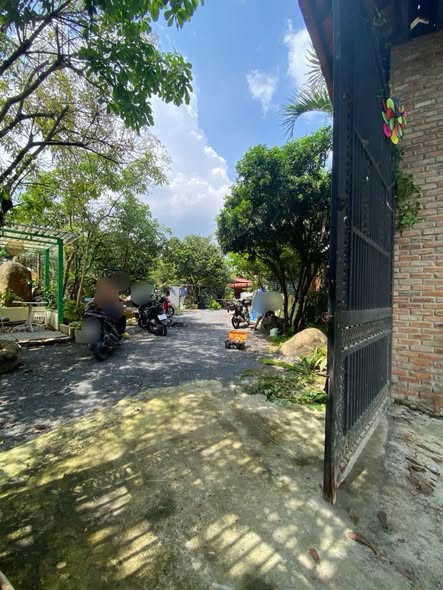 Nhà vườn Long Phước Quận 9 500m² giá 12 triệu - Không gian lý tưởng cho nghỉ dưỡng!