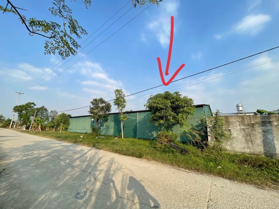 Đất nền Tân Phong 750m² - Giá thỏa thuận - Mặt tiền đường lớn, gần chợ và trường học!