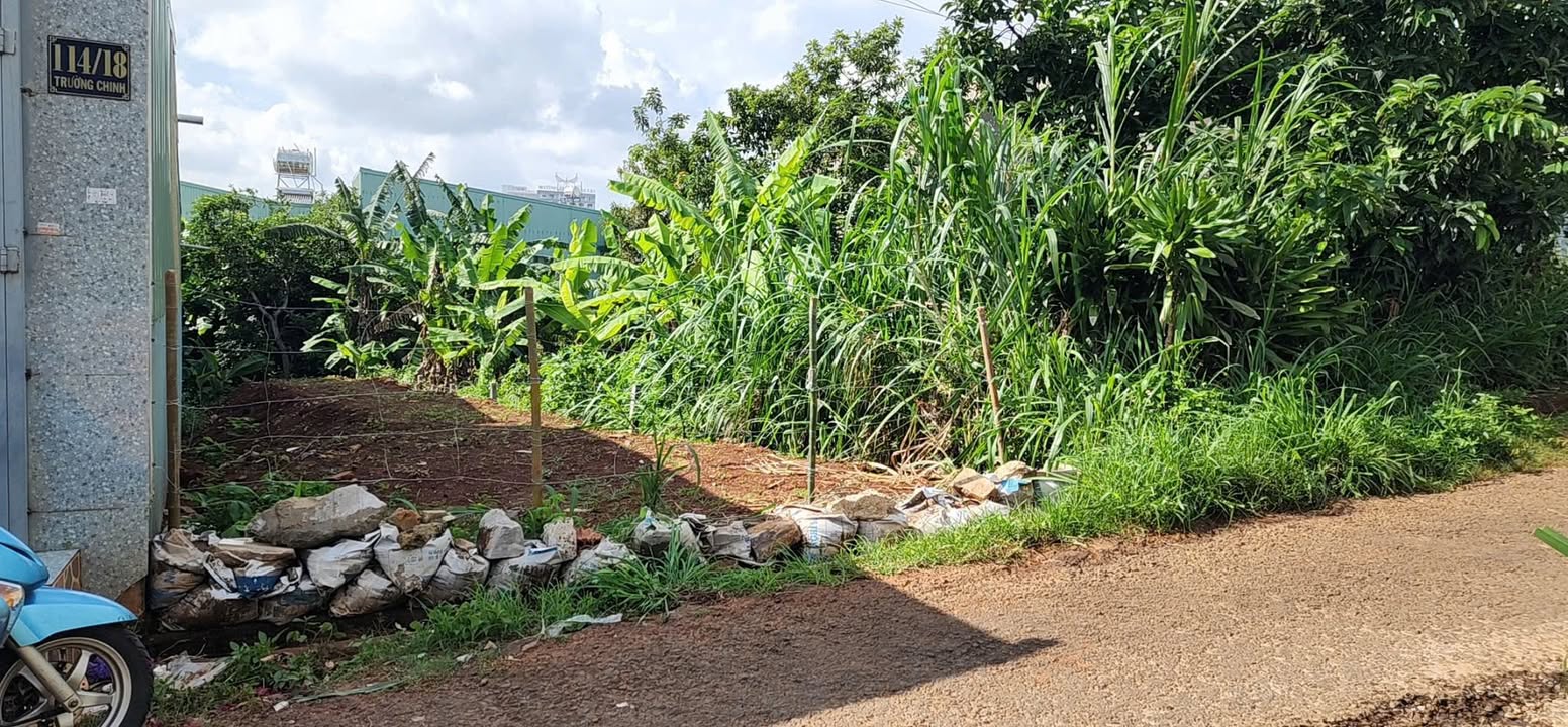 Lô đất hẻm 114 Trường Chinh, Phù Đổng, Gia Lai - Diện tích 145m², giá 1.4 tỷ - Xây nhà ở ngay!