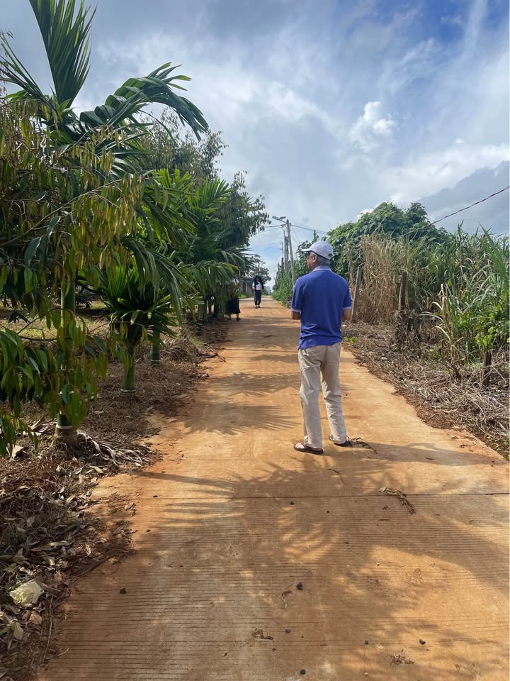 Đất nền Tuy Hòa 900m² giá 3 tỷ - Chính chủ, vị trí đắc địa!