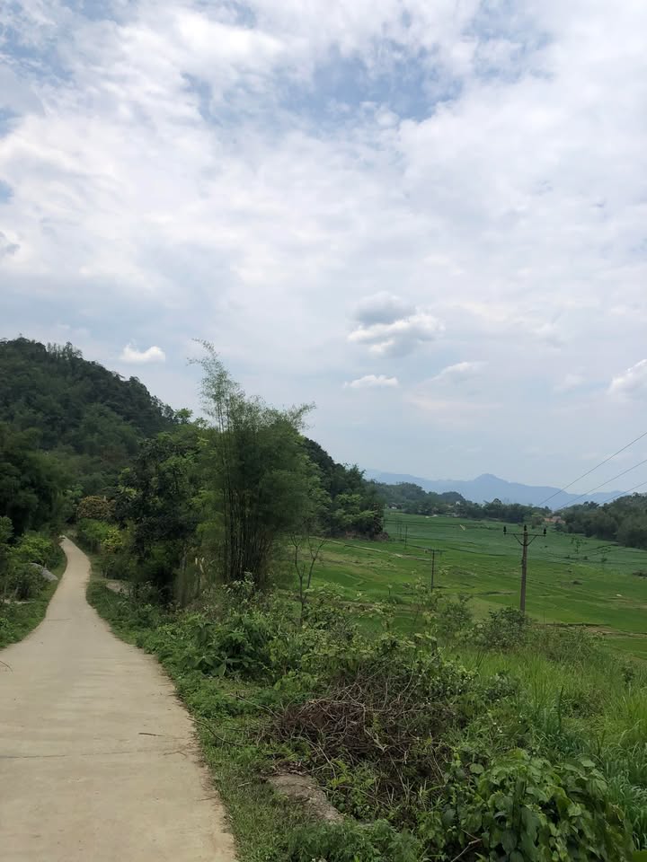 Đất thổ cư 160m² tại phường Thống Nhất, Hòa Bình - Giá tốt, sổ đỏ chính chủ!