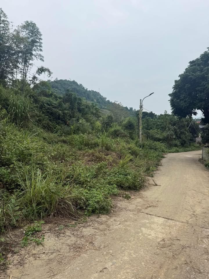 Đất thổ cư 104m² tại phường Thống Nhất, TP Hòa Bình - Giá chỉ 400 triệu!