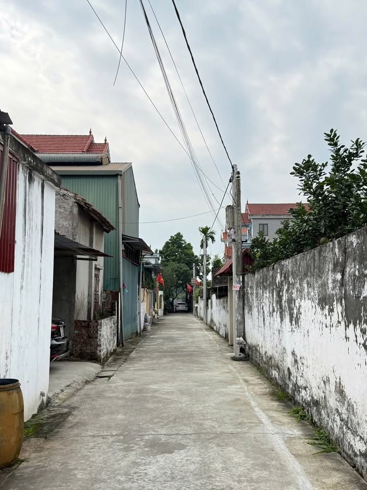 Đất nền thôn 6, xã Trung Châu, Đan Phượng 40m² - Ô tô đỗ cửa, giá tốt!