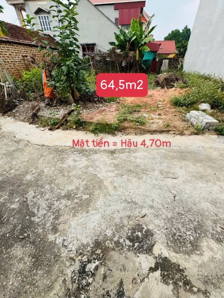 Đất thổ cư Lại Thượng, Thạch Thất 64m² - Tiềm năng đầu tư sinh lời cao!