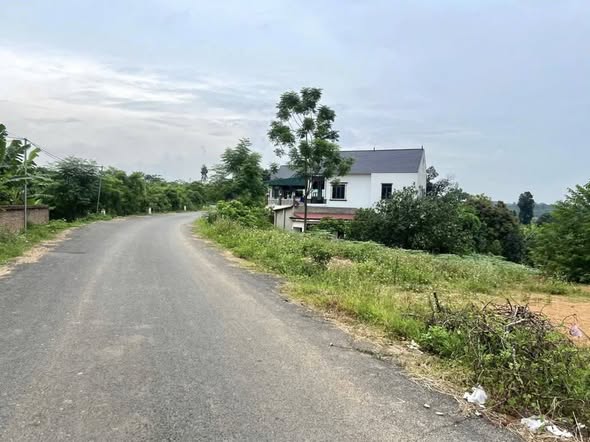 Đất nền Vạn Xuân, Tam Nông, Phú Thọ 120m² giá 1 tỷ - Cơ hội đầu tư không thể bỏ lỡ!