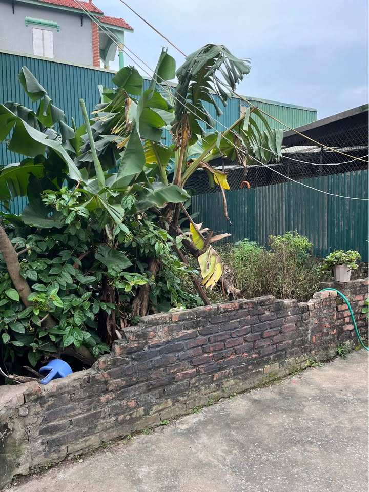 Đất nền Cự Khối Long Biên 40m² giá chỉ 4.15 tỷ - Đầu tư sinh lời ngay!