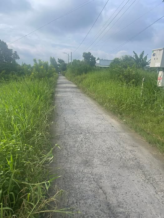 Đất nền Ấp Năm Châu, Bình Đông 136m² giá 550 triệu - Đầu tư sinh lời ngay!