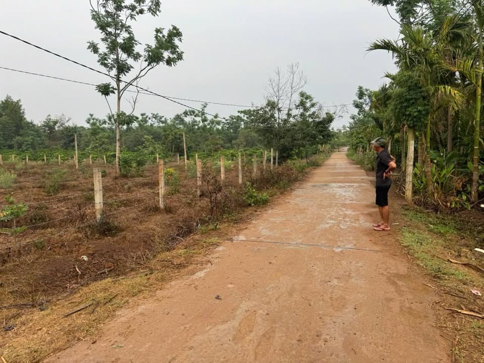 Đất đầu tư Ea Ktur, Đắk Lắk 2650m² giá 1.1 tỷ - Lô góc 2 mặt tiền đẹp!