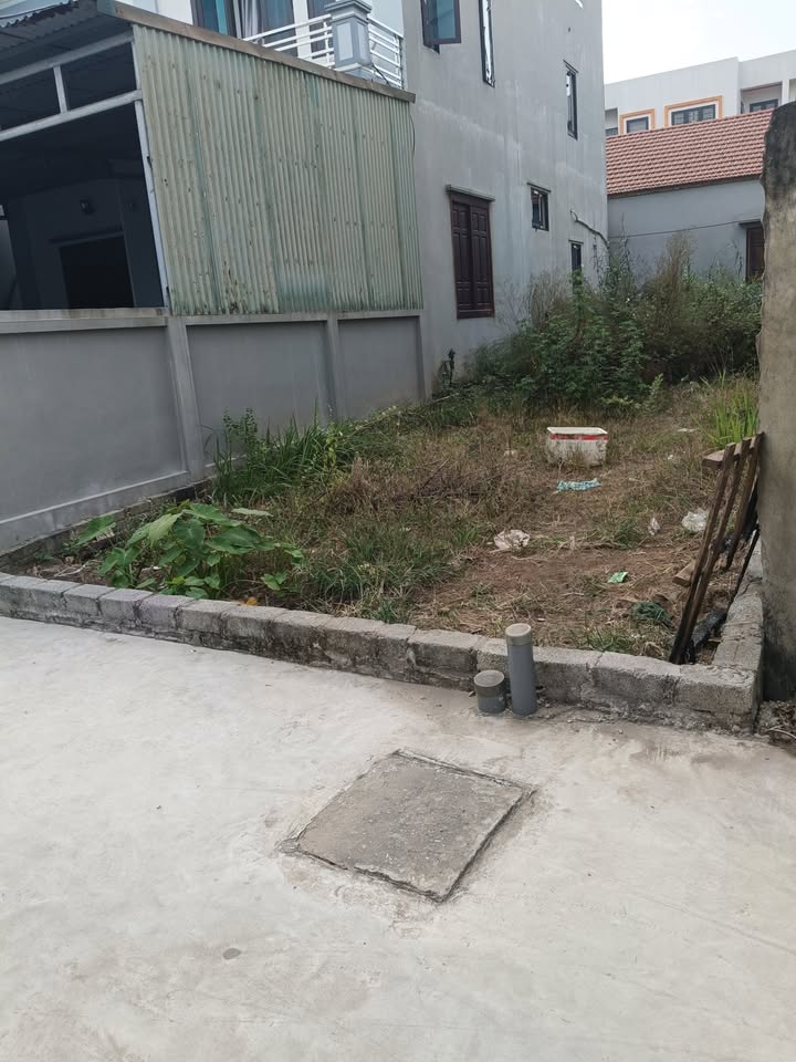 Đất nền Vân Tảo Thường Tín 101m² giá 5 tỷ - Sổ đỏ chính chủ, đầu tư sinh lời!