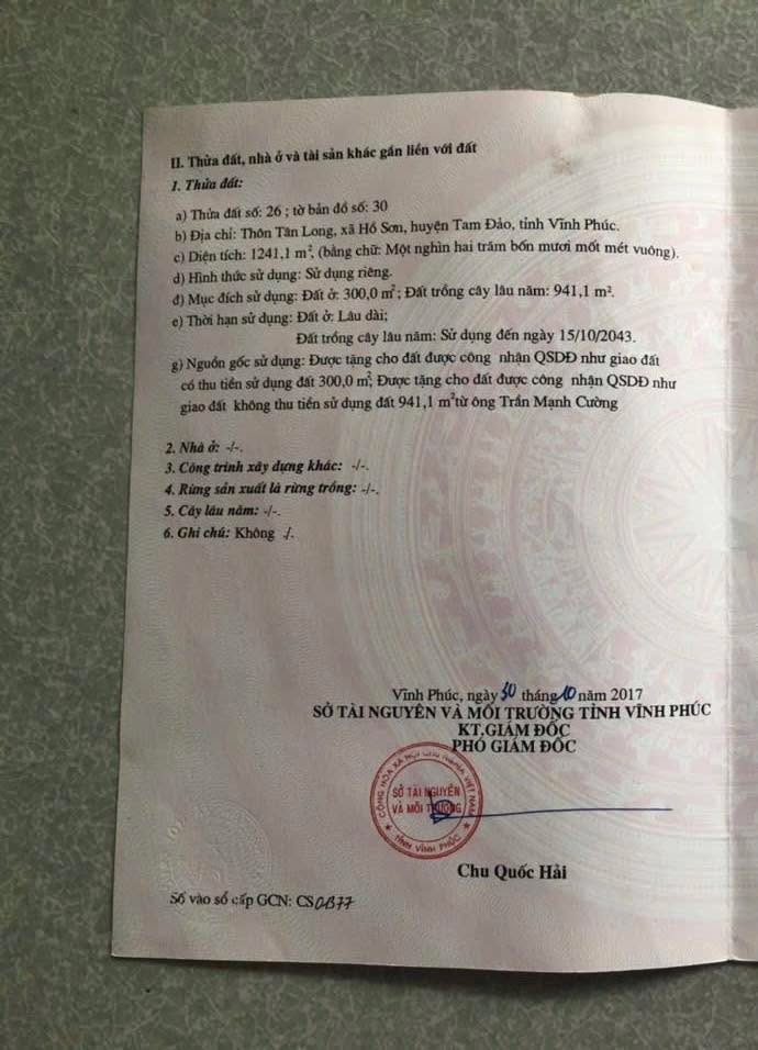 Đất nền 1.241m² tại Tam Đảo - Cơ hội đầu tư tuyệt vời!