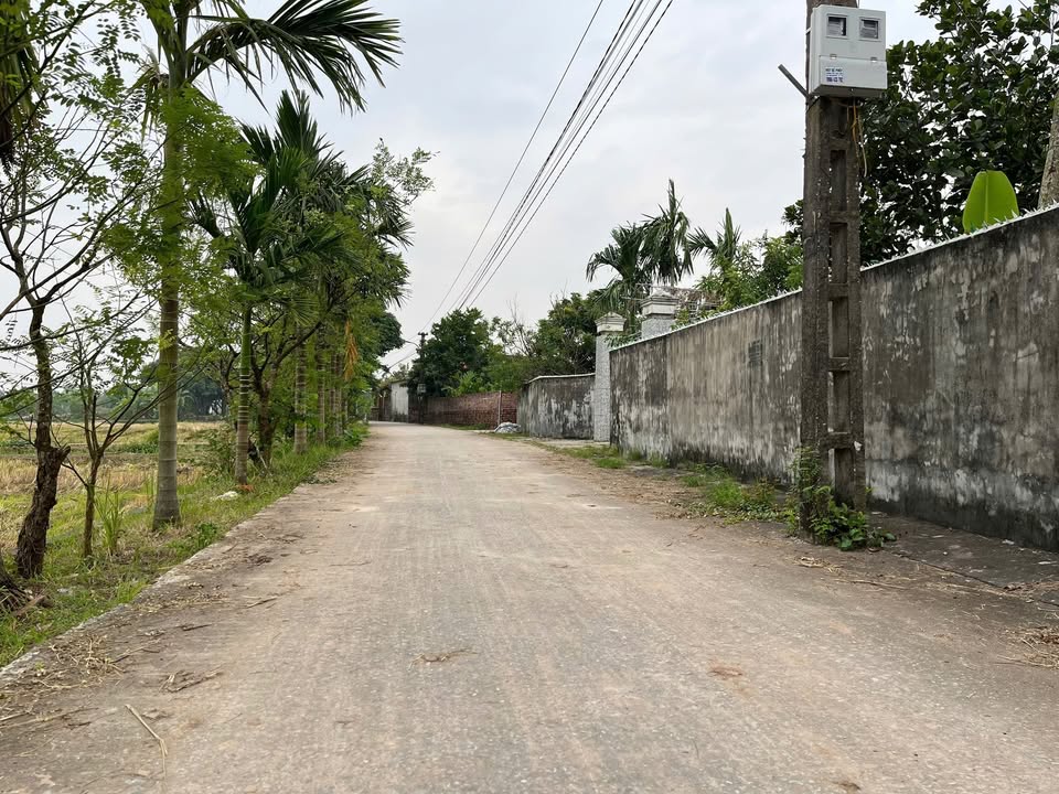 Đất thổ cư Thái Thịnh 100m² - Đường ô tô vào tận nơi!