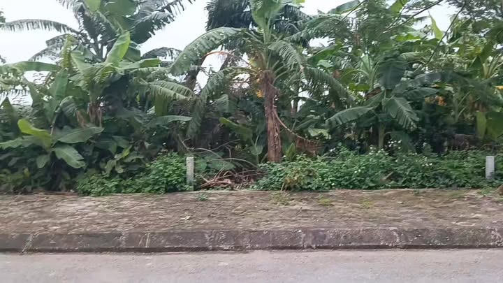 Đất nền Quất Lâm 100m² giá 1.9 tỷ - Vị trí gần biển, tiện ích đầy đủ!