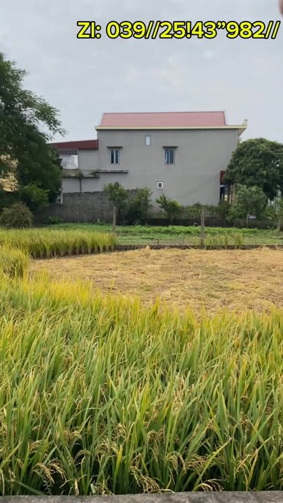 Đất nền Giao Thủy 117m² giá thỏa thuận - Vị trí đắc địa bên trường cấp 1!