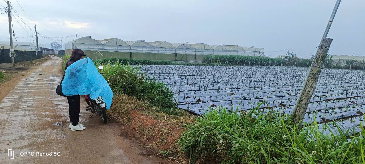 Đất nền Ka Đô, Đơn Dương, Lâm Đồng 540m² giá 5.4 tỷ - Cơ hội đầu tư nghỉ dưỡng!