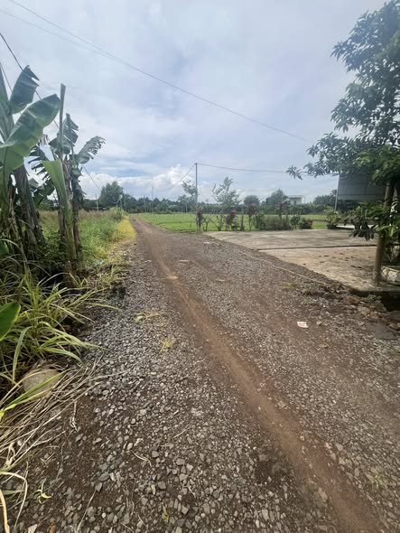 Đất nền 3000m² xã Xuân Bắc, huyện Xuân Lộc - Giá chỉ 1.35 tỷ!