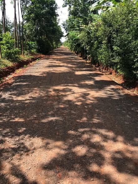 Đất nông nghiệp Cư Suê Đắk Lắk 18.000m² giá thỏa thuận - Tiềm năng đầu tư lớn!